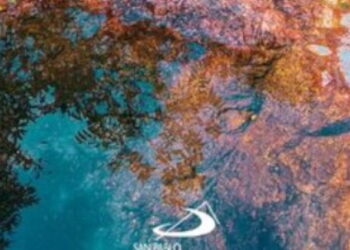 Libros: “El resonar de la Palabra”, la experiencia de lo sagrado a través de los tiempos litúrgicos. Trabajo realizado por el teólogo y psicoterapeuta Juan Manuel Palma