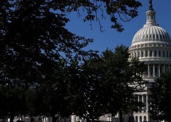 El Papa ejerció su derecho al voto como ciudadano de los Estados Unidos