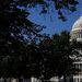 El Papa ejerció su derecho al voto como ciudadano de los Estados Unidos
