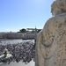 El Papa en diálogo con el presidente de Rusia pide un alto al fuego