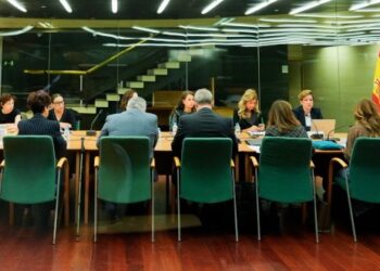 La Comunidad de Madrid solicita al Gobierno central la revisión urgente del sistema VioGén