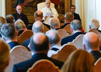 León XIV: la unidad es esencial para la credibilidad del testimonio